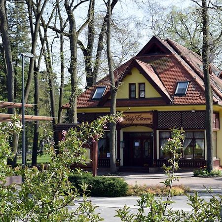 Villa Hotel Debrecen Exteriör bild