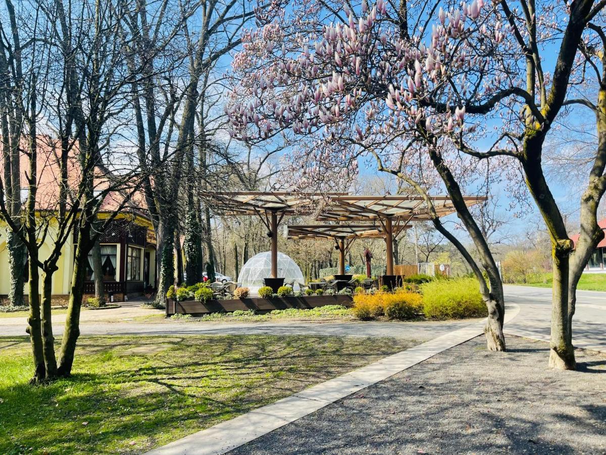Villa Hotel Debrecen Exteriör bild