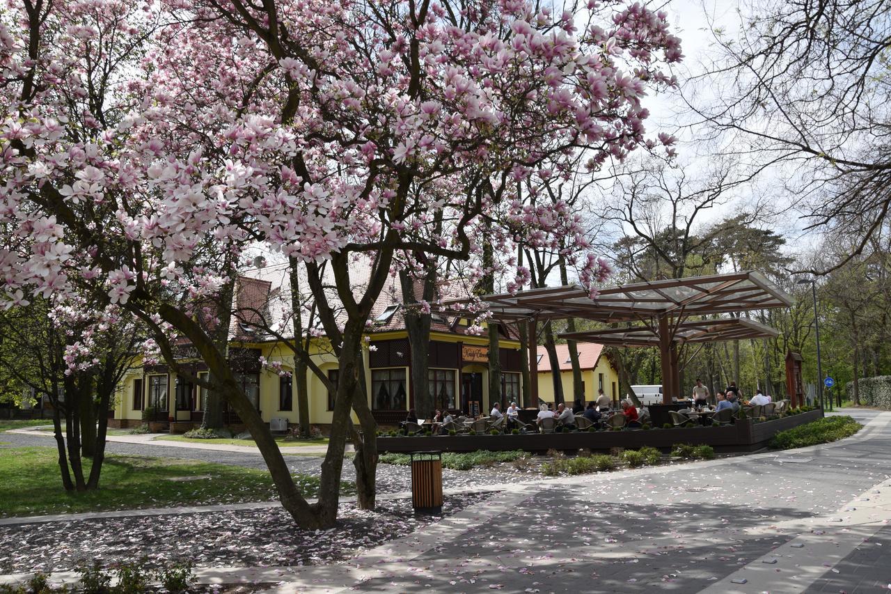 Villa Hotel Debrecen Exteriör bild